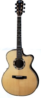 VSP-Don Electric Acoustic Guitar