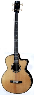 VSPB-Bob Electric Acoustic Bass