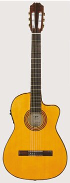 アリアフラメンコギターAC-70FCE75