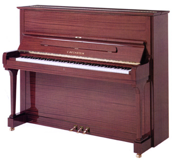 BECHSTEIN