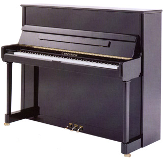 BECHSTEIN