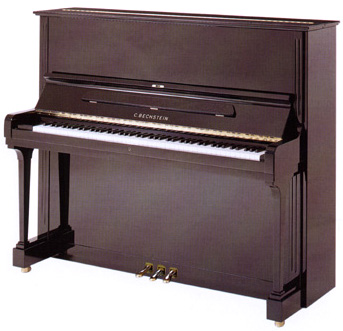 BECHSTEIN