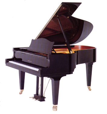 BECHSTEIN A-189