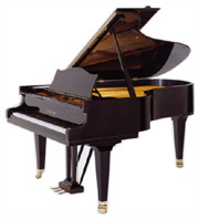 BECHSTEIN@B210