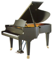 BECHSTEIN@M/P192