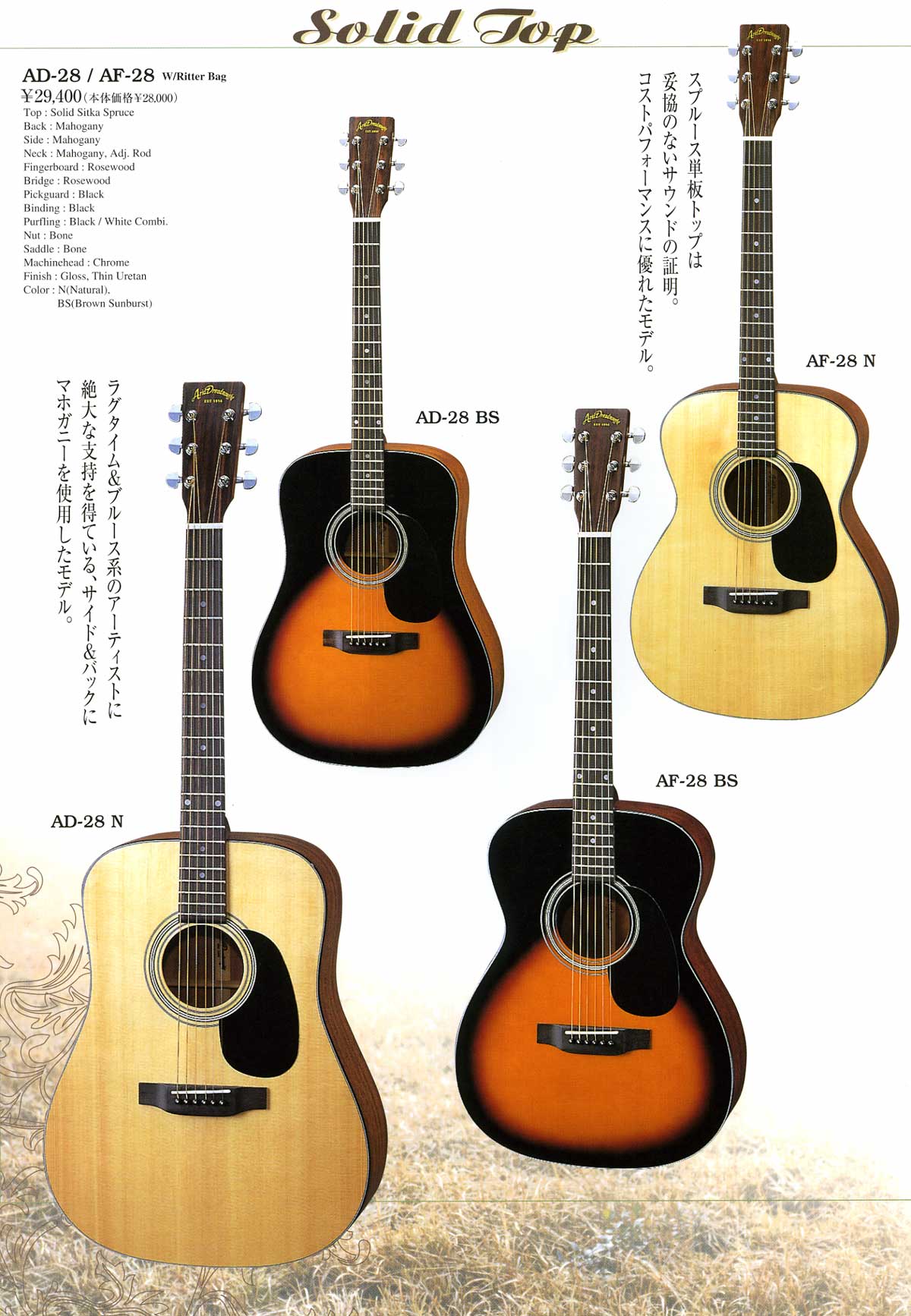 アコースティックギター　AriaDreadnought