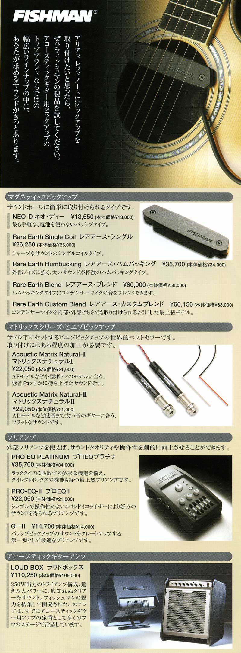 ガッキコム】アリア・ドレッドノート・アコースティックギター