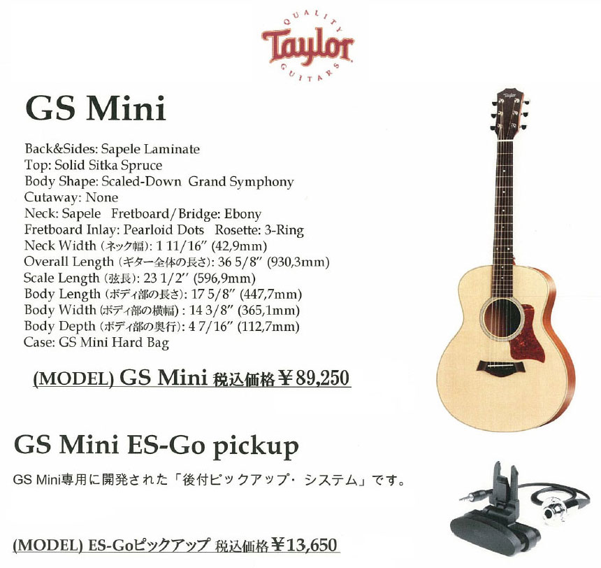 Taylor GS Mini