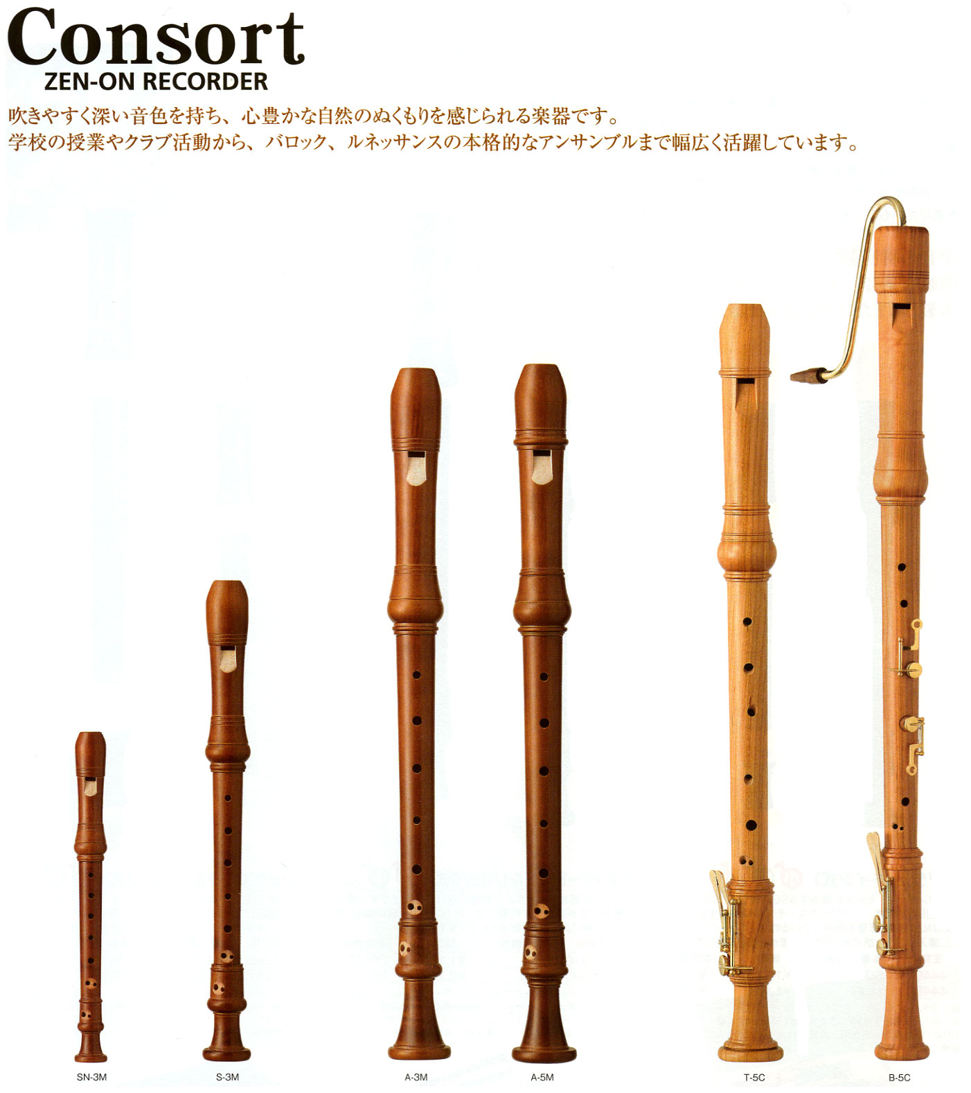 【完売】 ゼンオン 木製ソプラニーノリコーダー 管楽器 - ip.psd.ku.ac.th